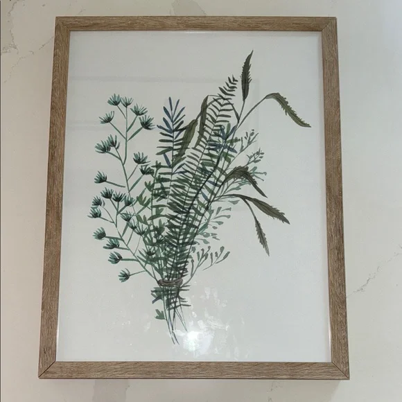 Framed Botanical Art Print - Picture 3 of 4
